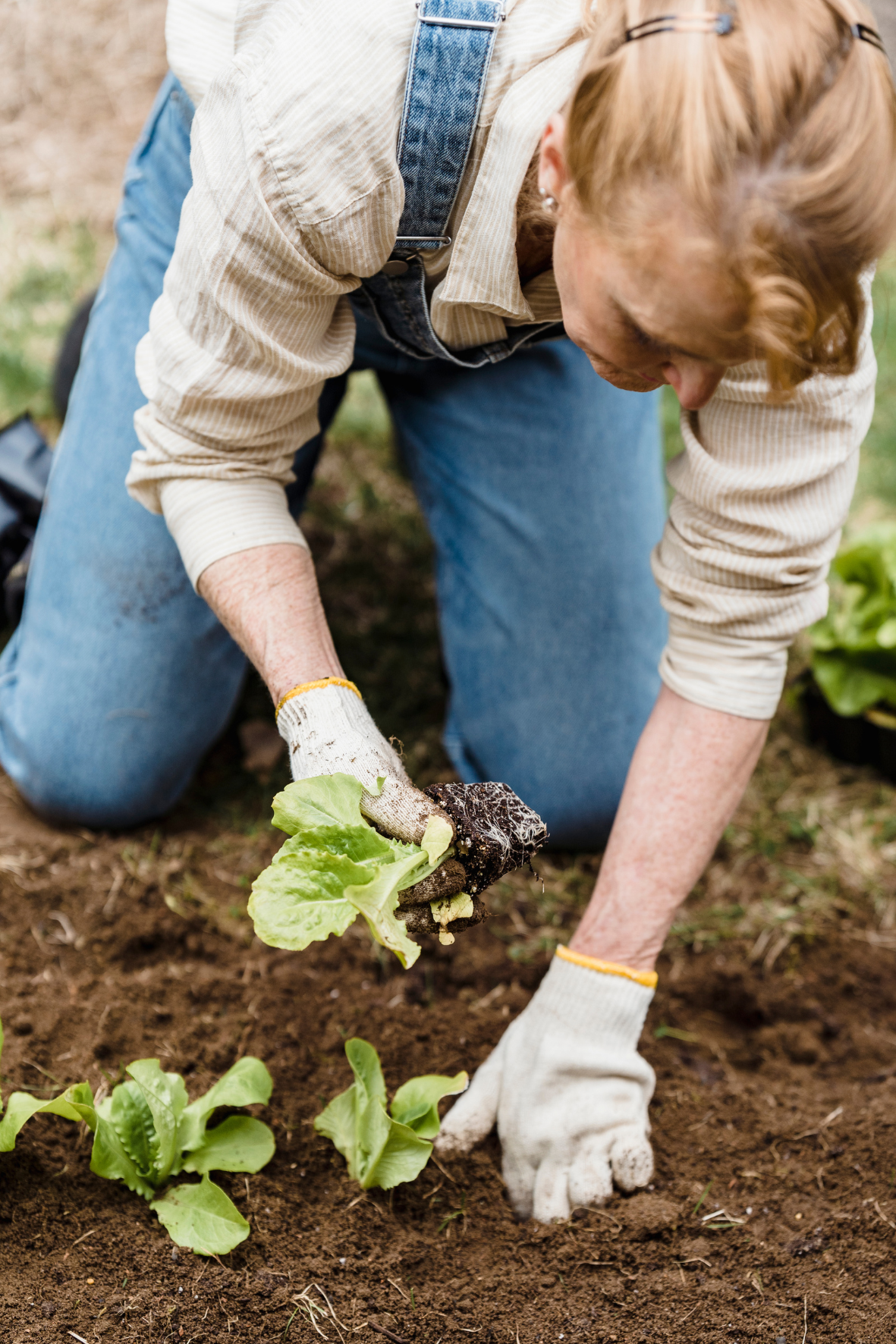 Environnement jardin