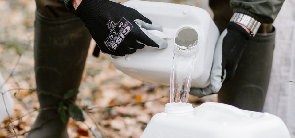 La récolte de la sève de bouleau avec Sosève : une pratique respectueuse pour préserver la vitalité des arbres